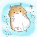 きなこ