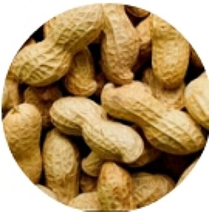 噂のピーナッツ