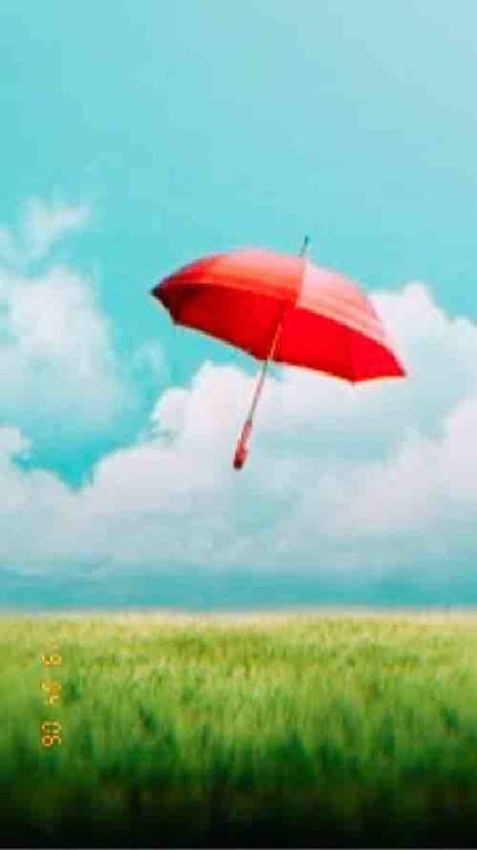 Umbrella