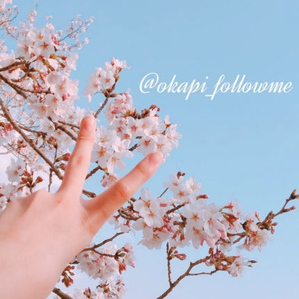 おかぴー
