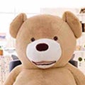 くまごま🐻