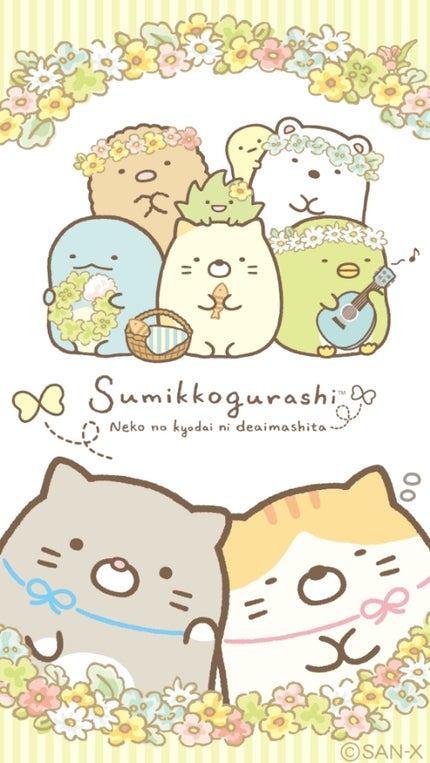 ゆーちゃんです(/-\*)✨