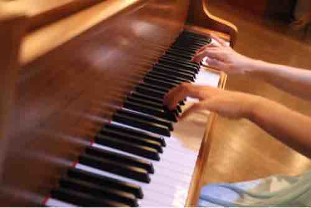 ♡♡♡USAGI♡♡♡