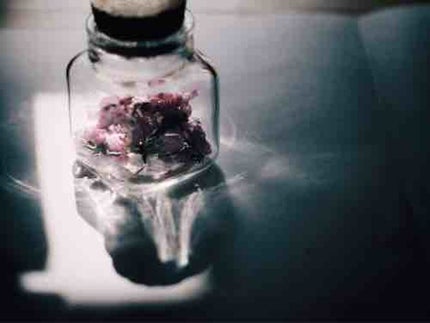 つ ば き ☺︎*.゚ @ 投稿おやすみ中