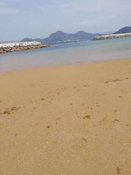 🐥ピヨッコ🐤