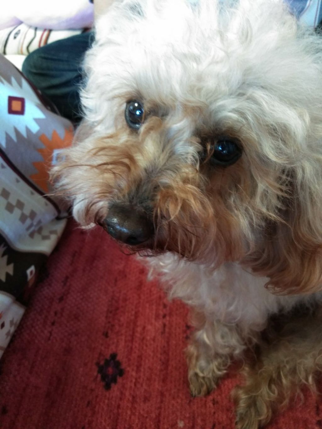 ラブ子❨LIPS agm❩お疲れ気味…💦