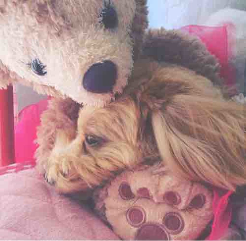 ゆず‪‪☺︎‬