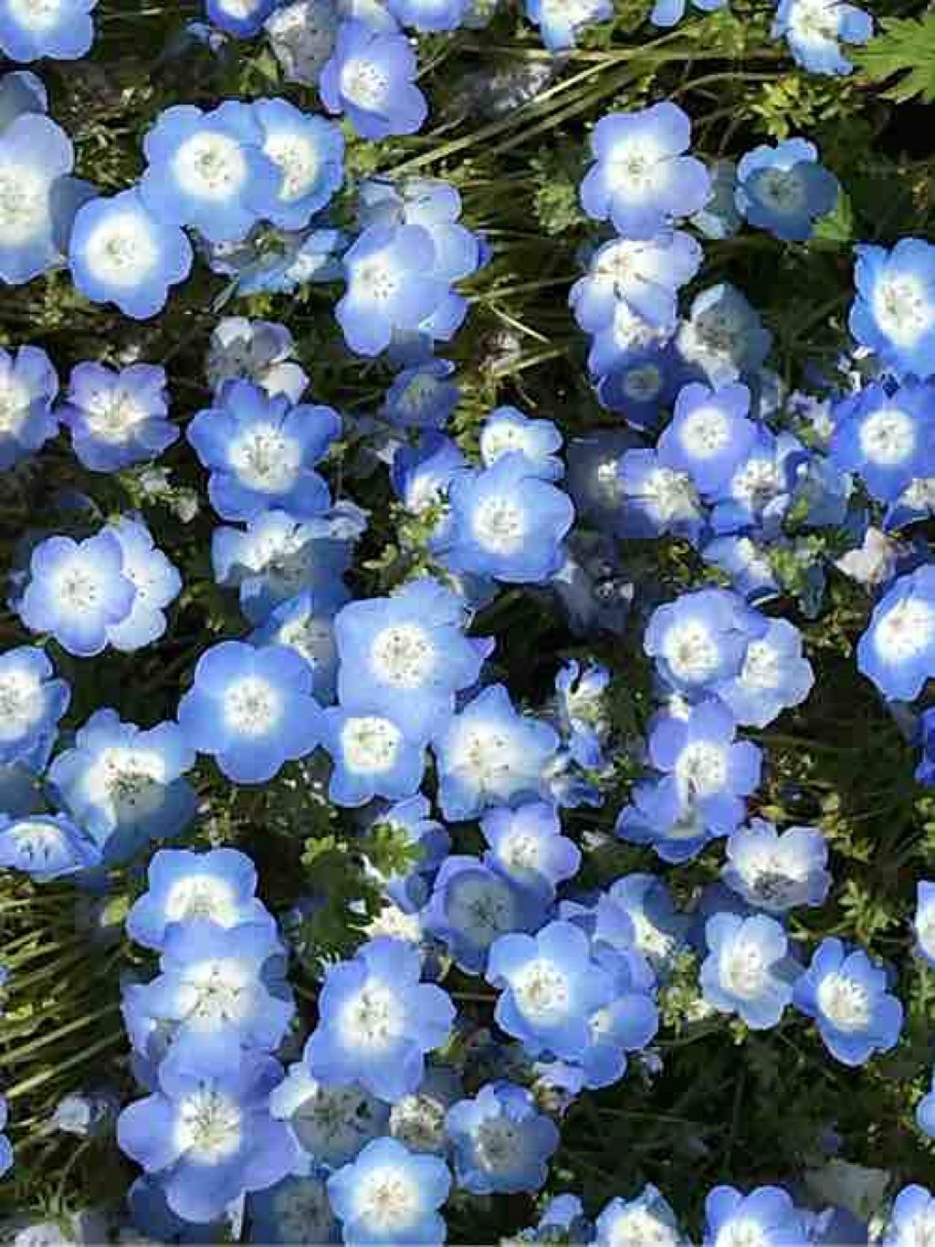 まろやん@イエベSpring