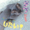 ばなちー