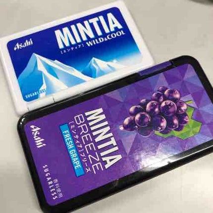 ミンティア愛好家