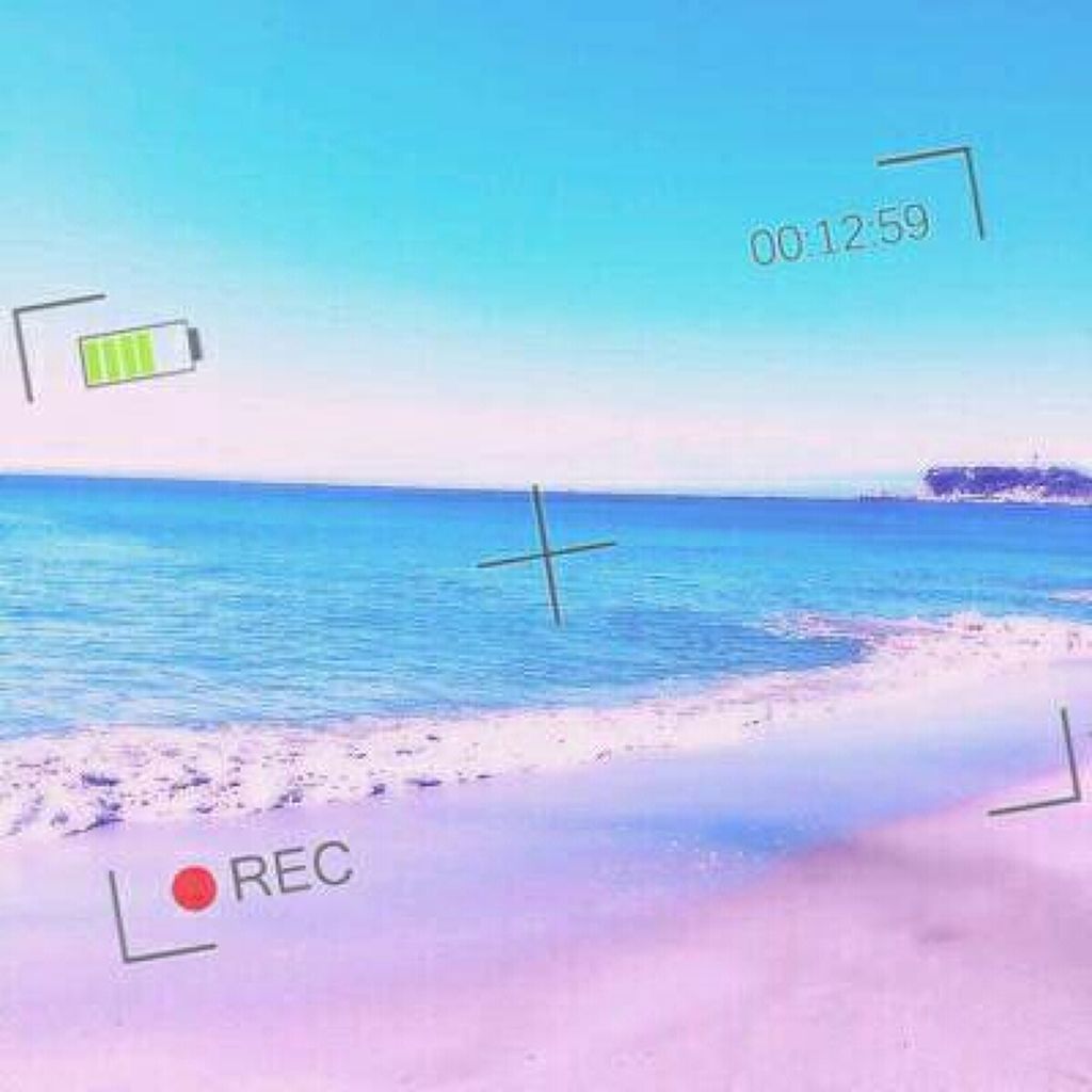 クッキー🍪︎💕︎