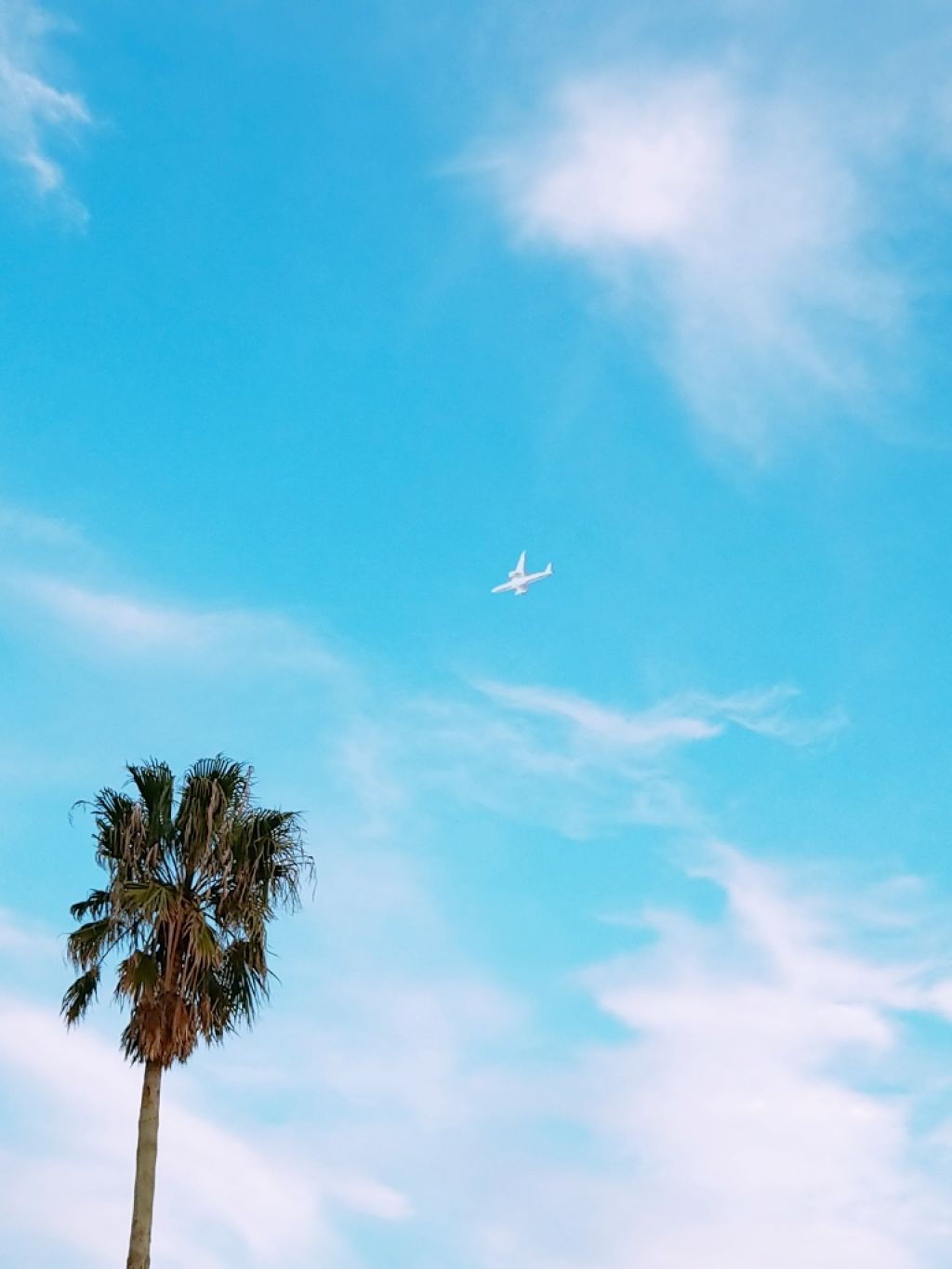 そこら辺にいるやつ