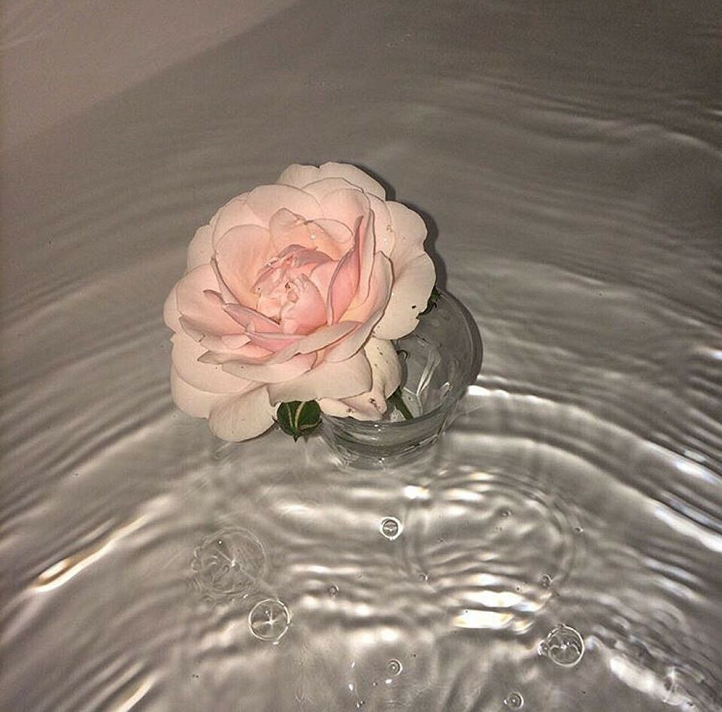 わ か な っ ぱ︎︎ 🌱☁︎︎*.