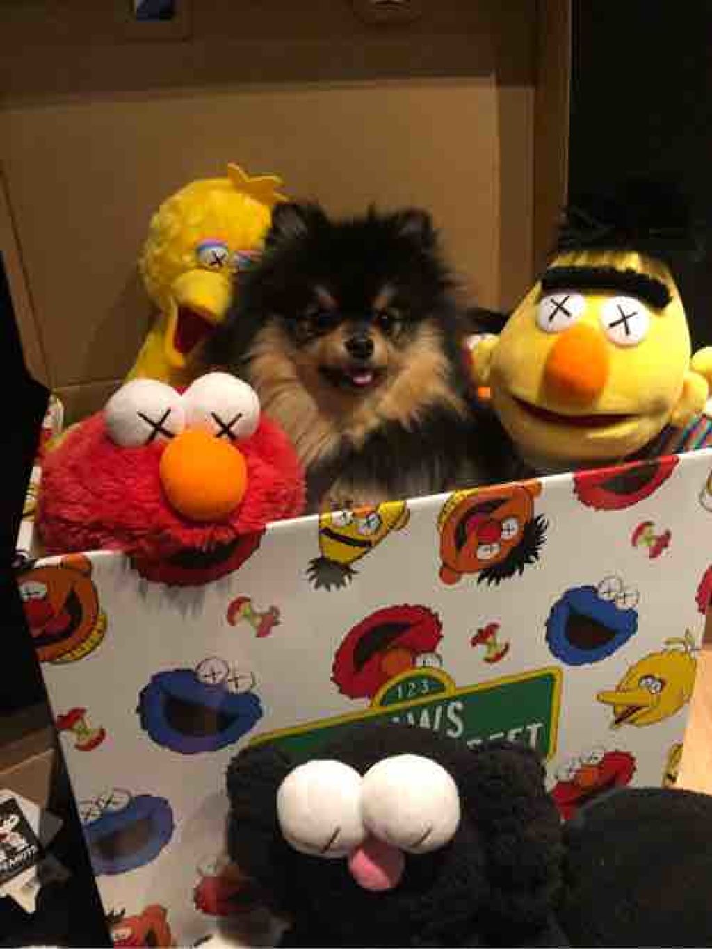 ❤︎えだまめ❤︎