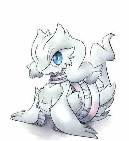 COSMEグルメのふわっまる