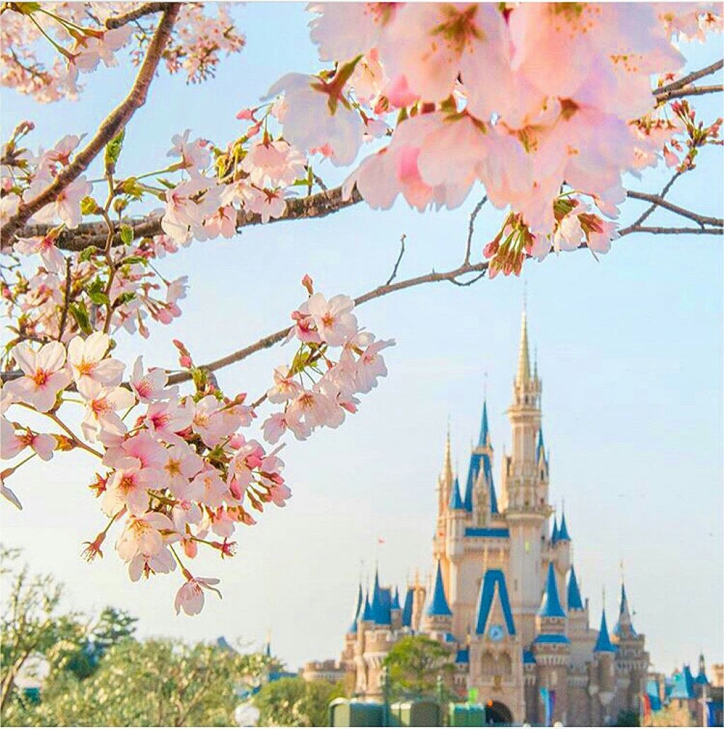 まりさ❁﻿まどか