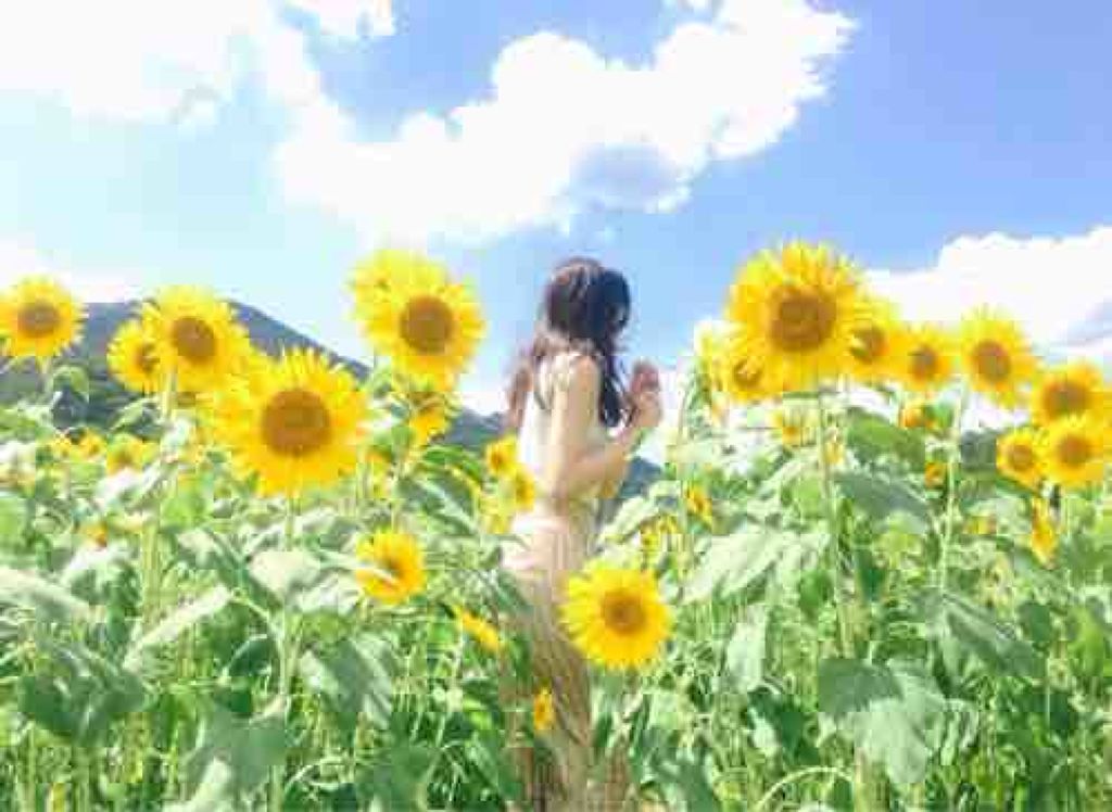 あんにんちゃん