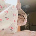 치카 *おはよ