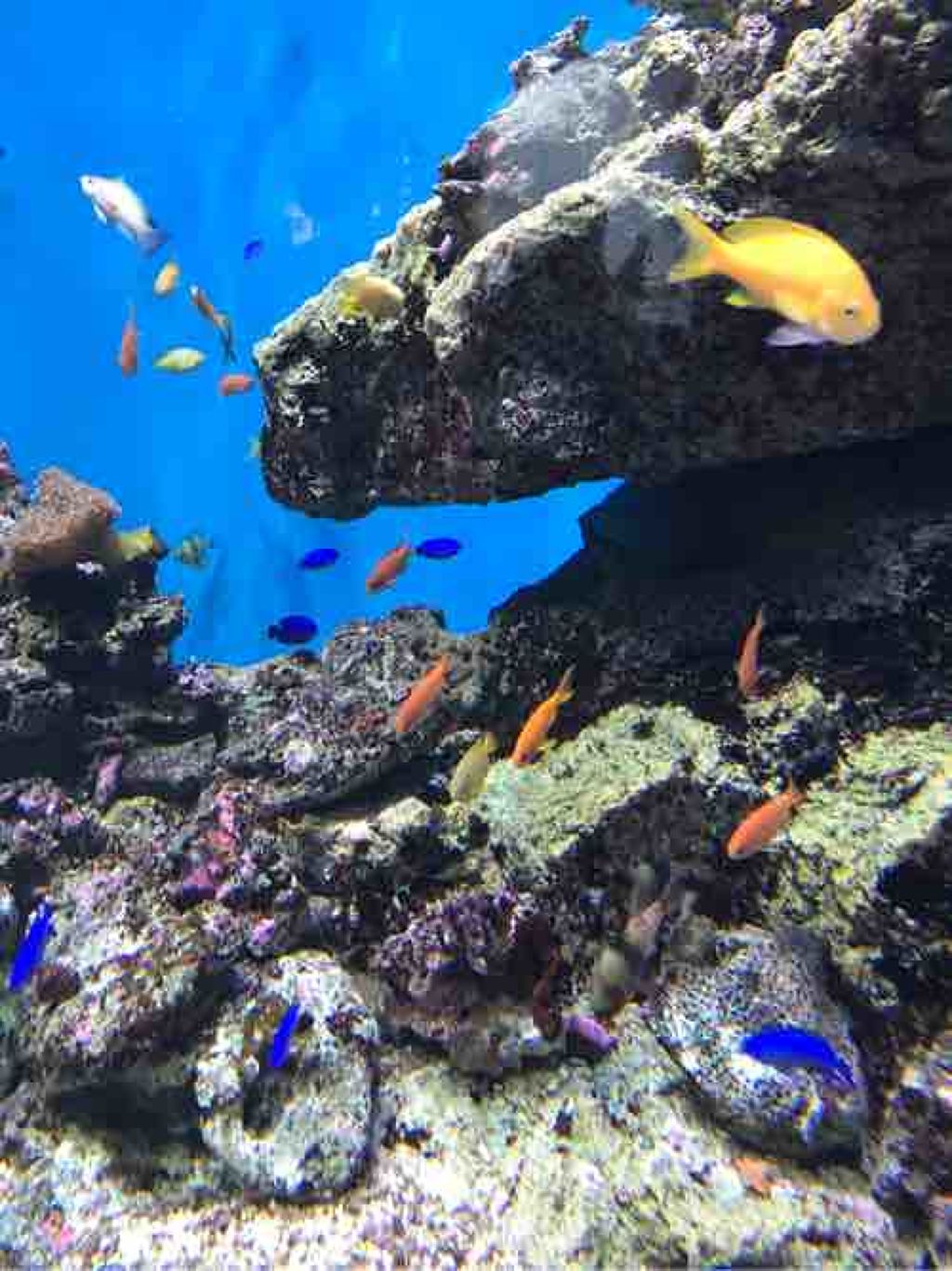 ＊まさえ＊投稿ゆっくり再開中🙇‍♀️