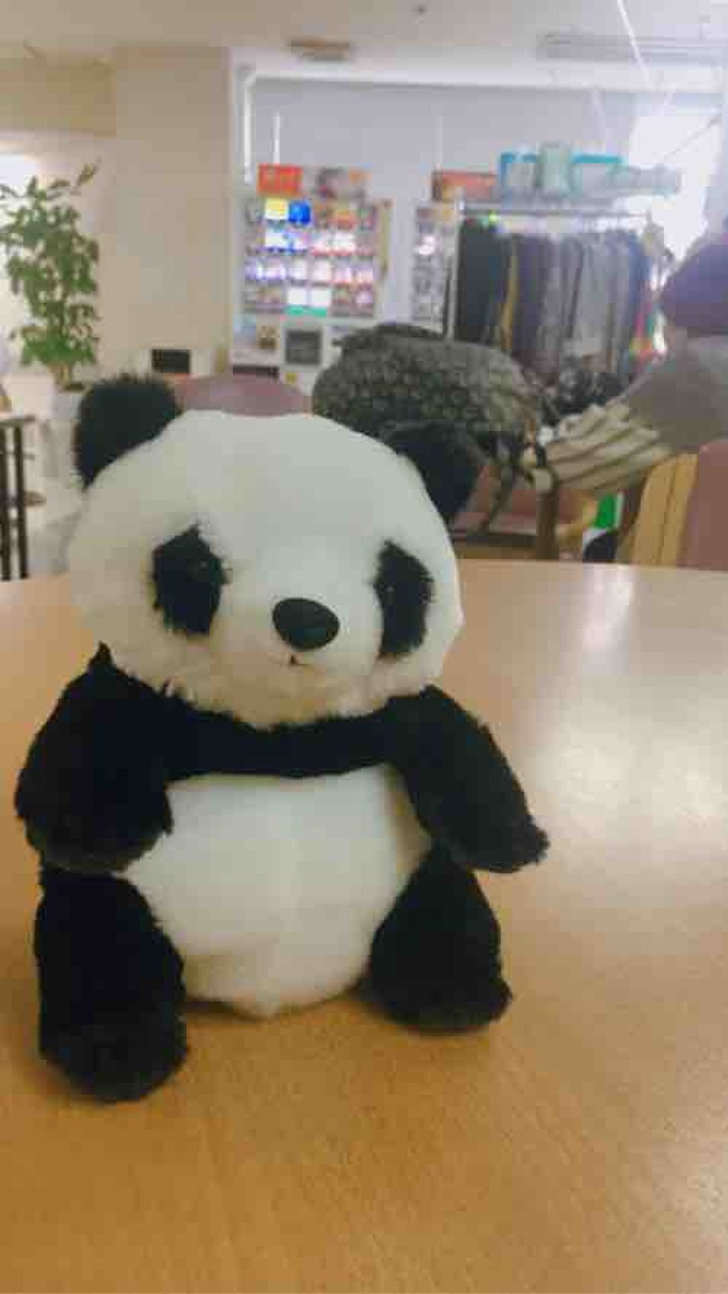 すみっこ関西人