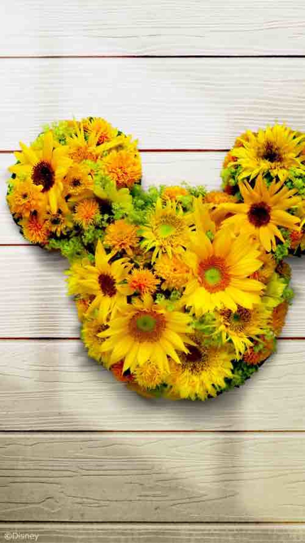 イエベ春ナースのちー🌻