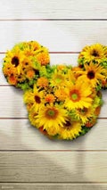 イエベ春ナースのちー🌻