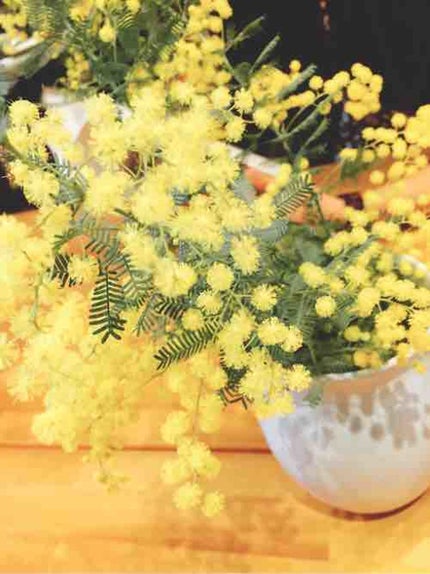 セザンヌ大好き芸人