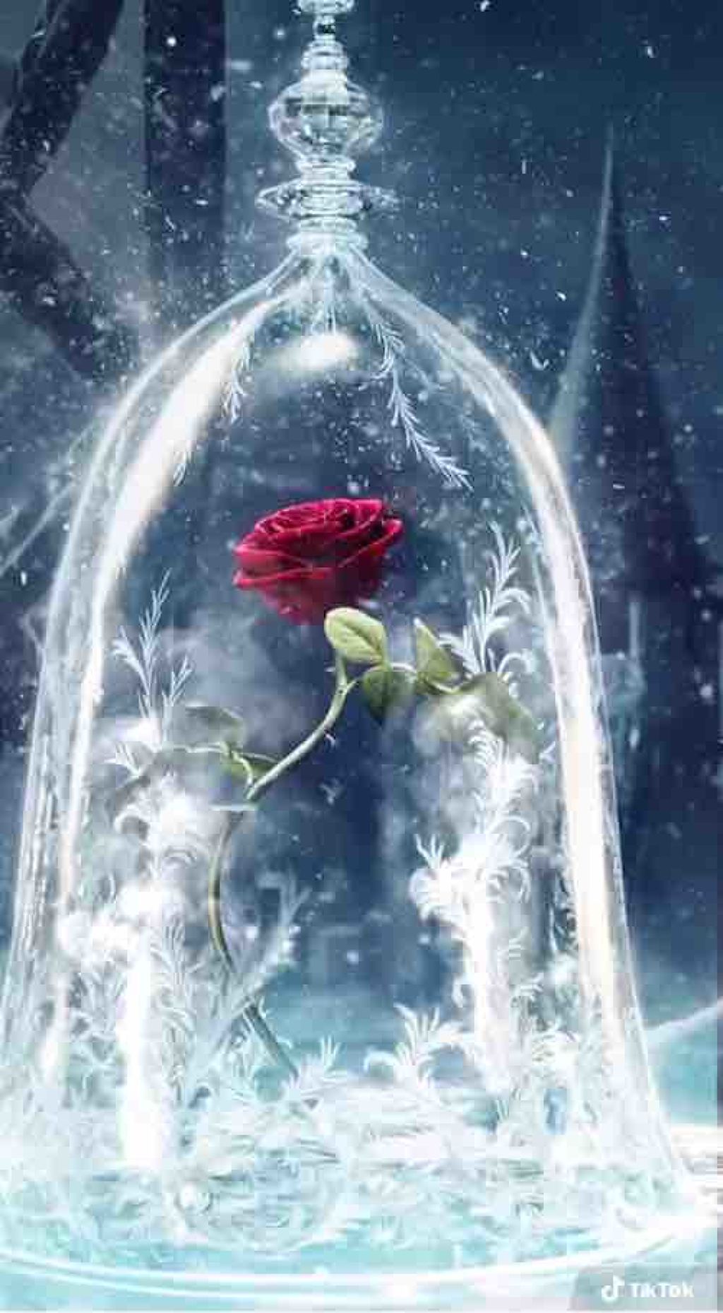 ざるうどん好き( *˘ ³˘)♡♡♡ 