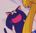 ぴこ🍙