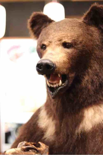 fantastic_perfume_o3u