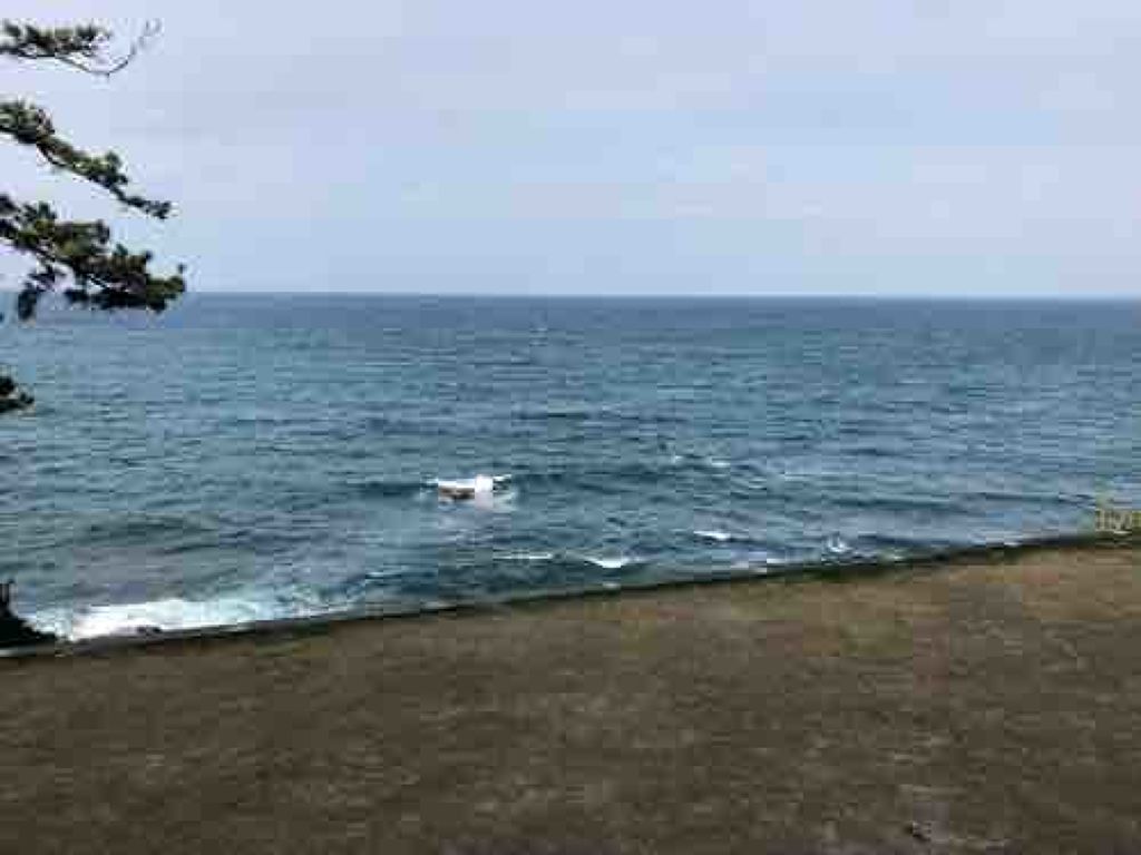 ReReRe(りーさん)