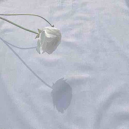 ぽ☁️イエベ春女