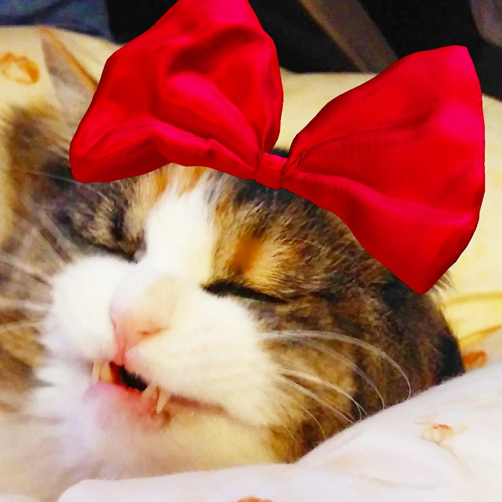 喜代美『Use up』党