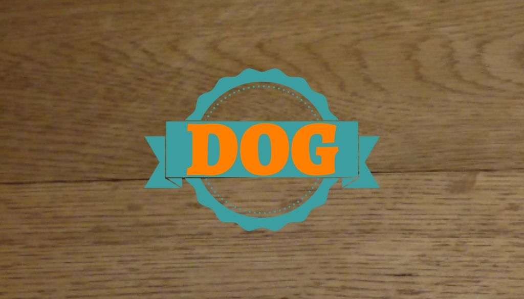 🐕わんわん🐕