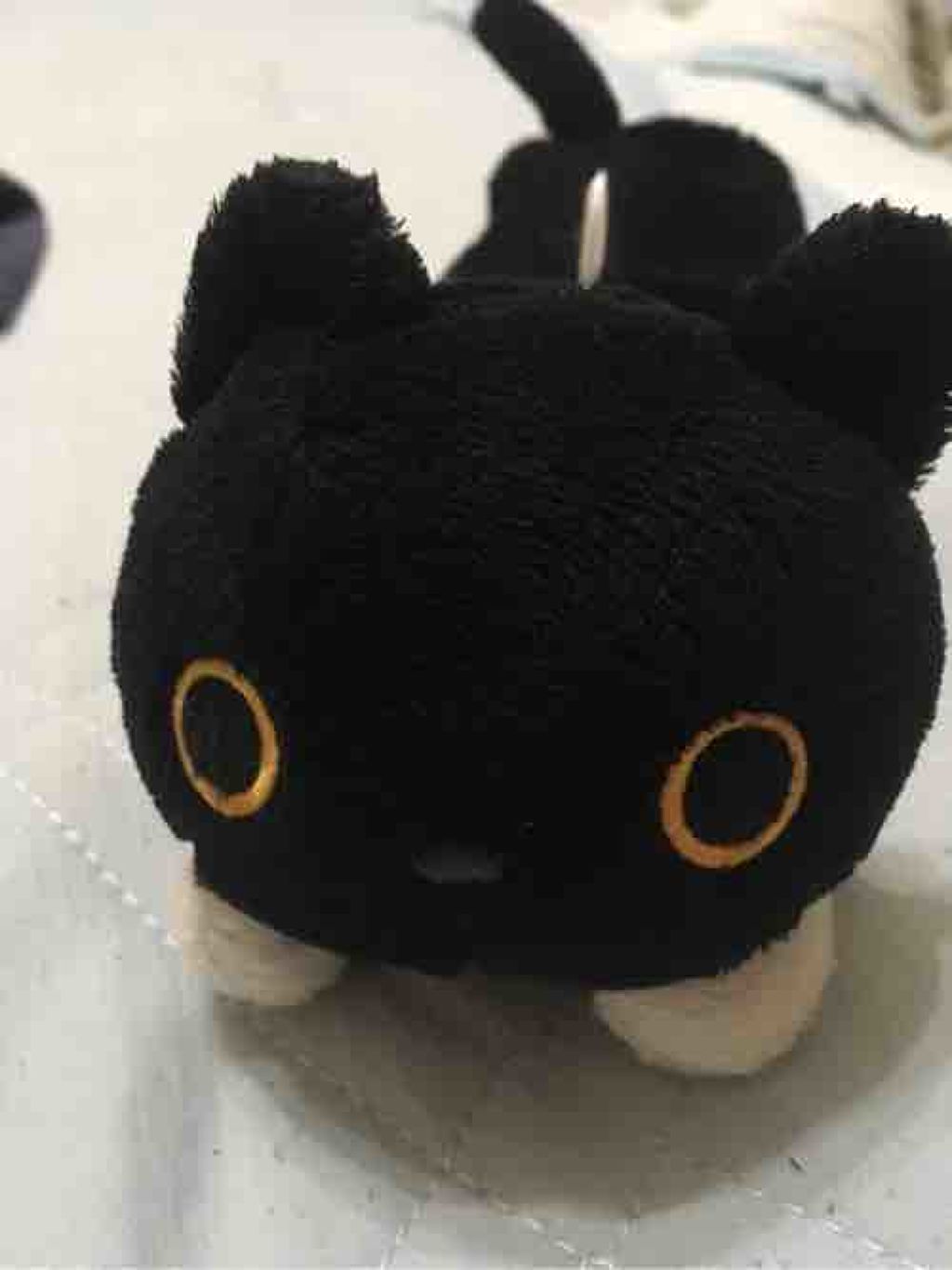 アントワネットの猫