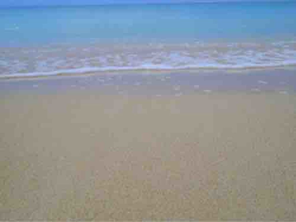 ジョリーパスタ🍝