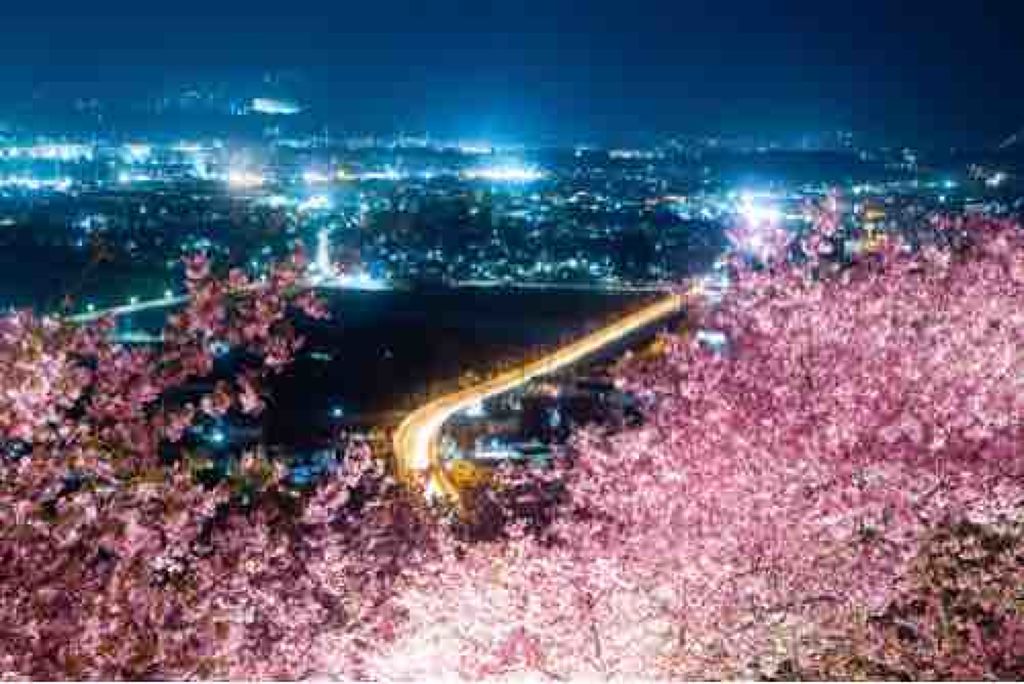 fabulous_perfume_dm2