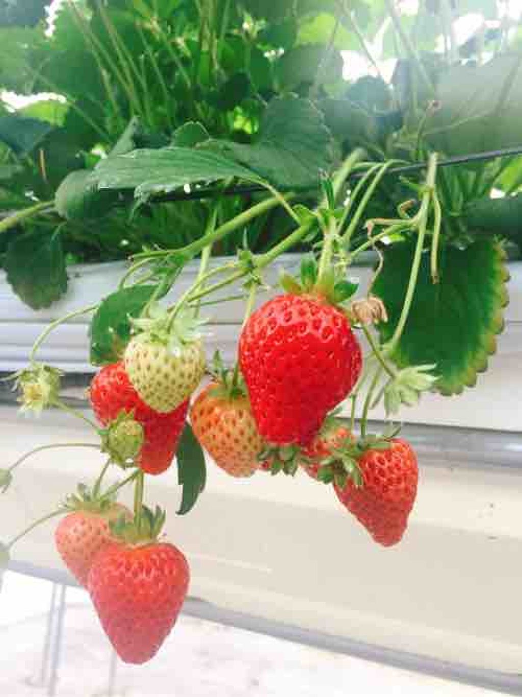 ｱｻｶ@暇な時更新（辞めません）