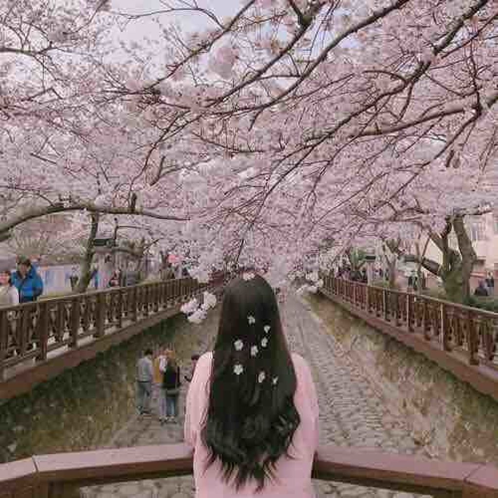 *⑅୨୧Ribonn୨୧⑅*.