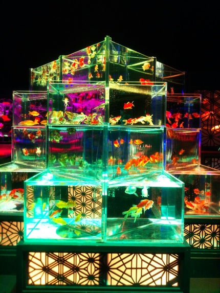 ▫□佐藤しゅがあ□▫