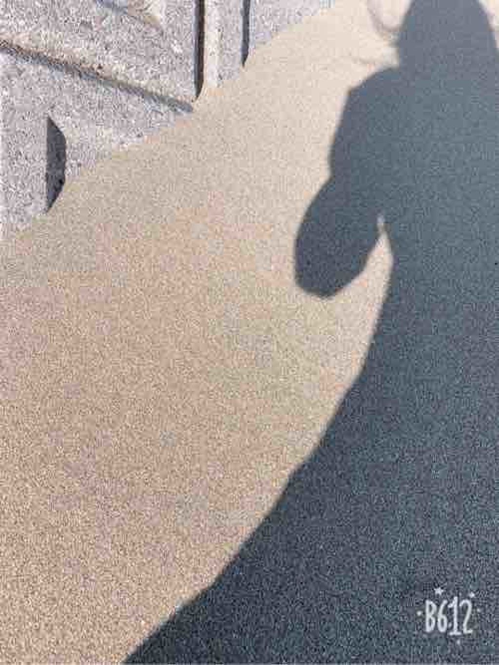 はるな🌙🧸❤️