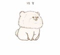 甲乙丙丁