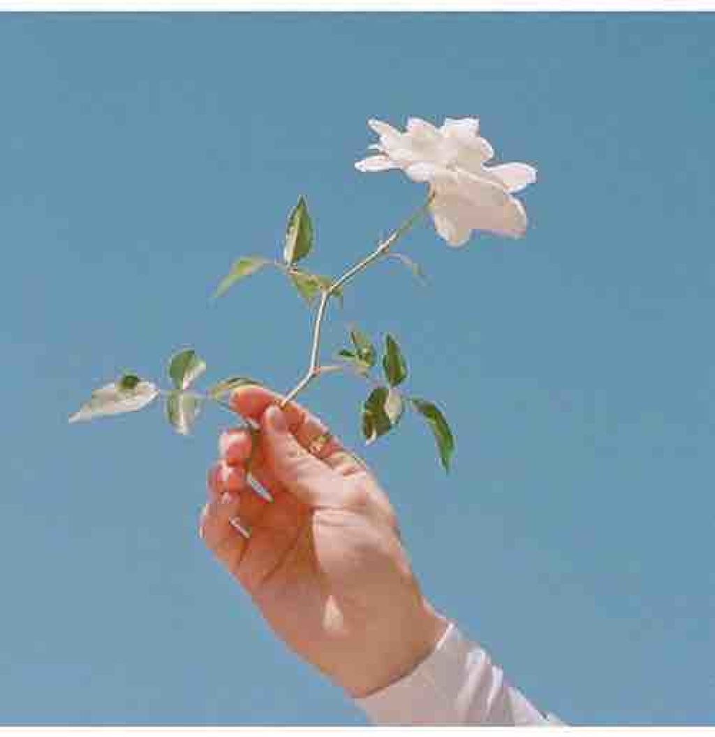 も ち  み る く