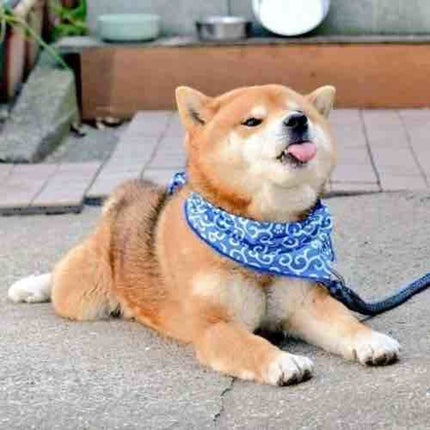 ðŠð.ã²ãŸã.ððŠ