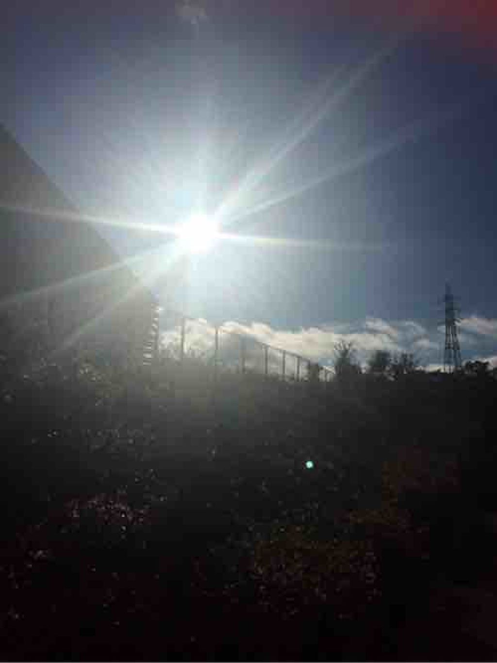 コスメスティック