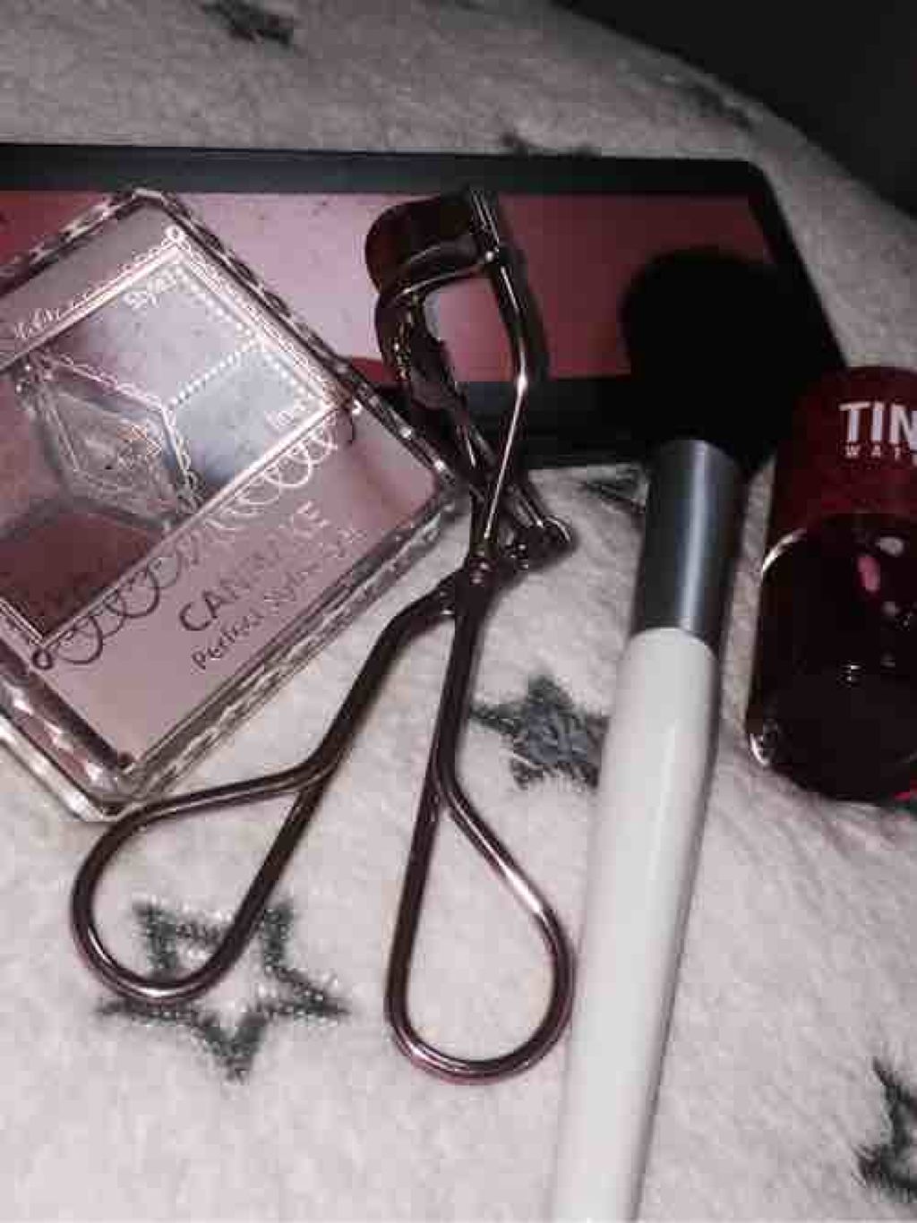 タイワンオオヒラクワガタ