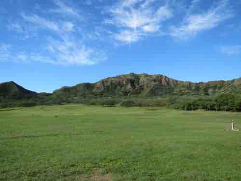 🌸ちゃーちゃん🌸