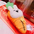 にんじん🥕