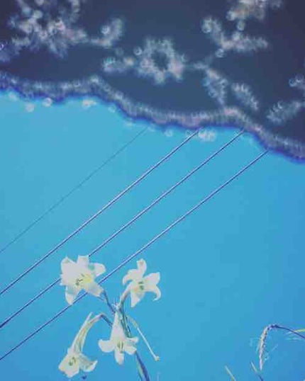 たろう