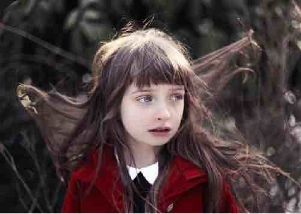 白鷺圗(しらさず)